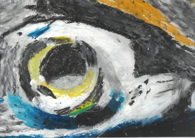 Eye of Nature