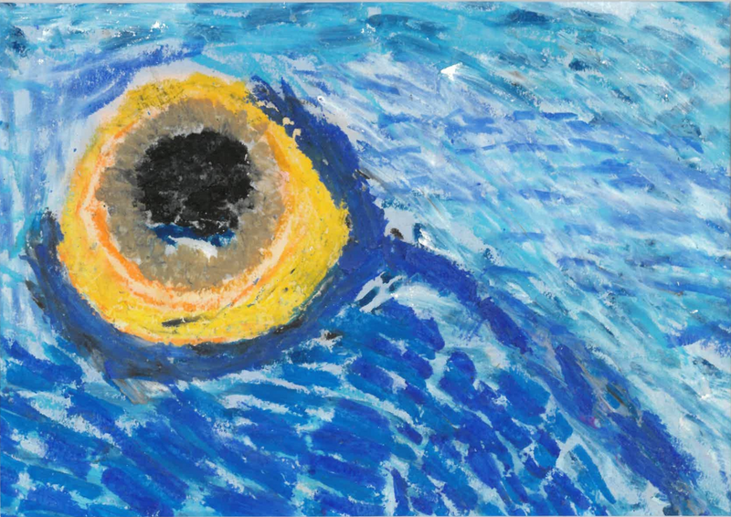 Eye of Nature
