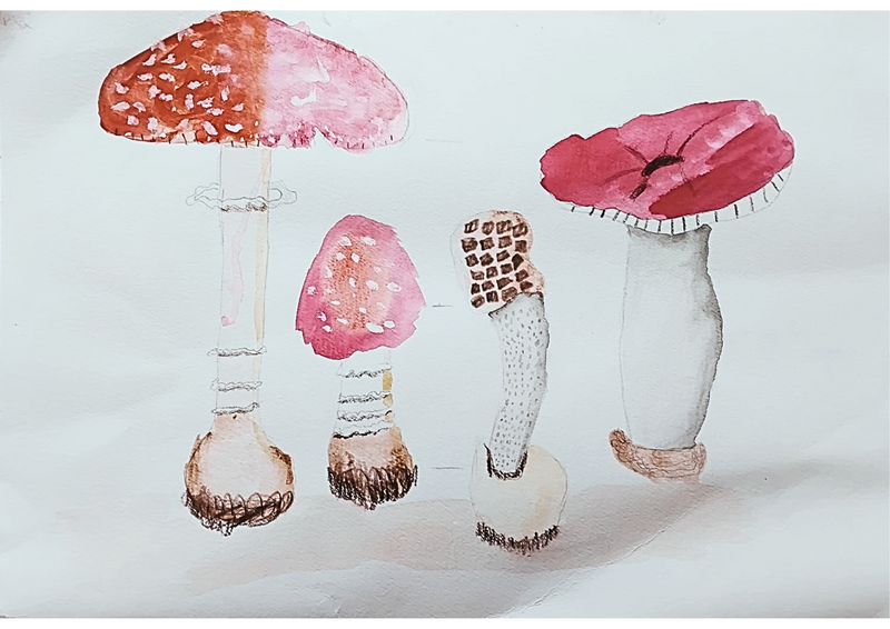 Woodland Mushrooms
